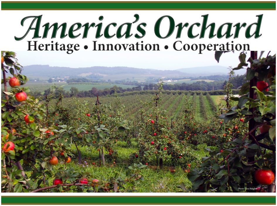 Apple Orchard cover.JPG