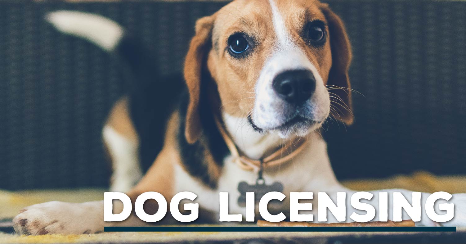 AgExplorer Dog Licensing Header.jpg