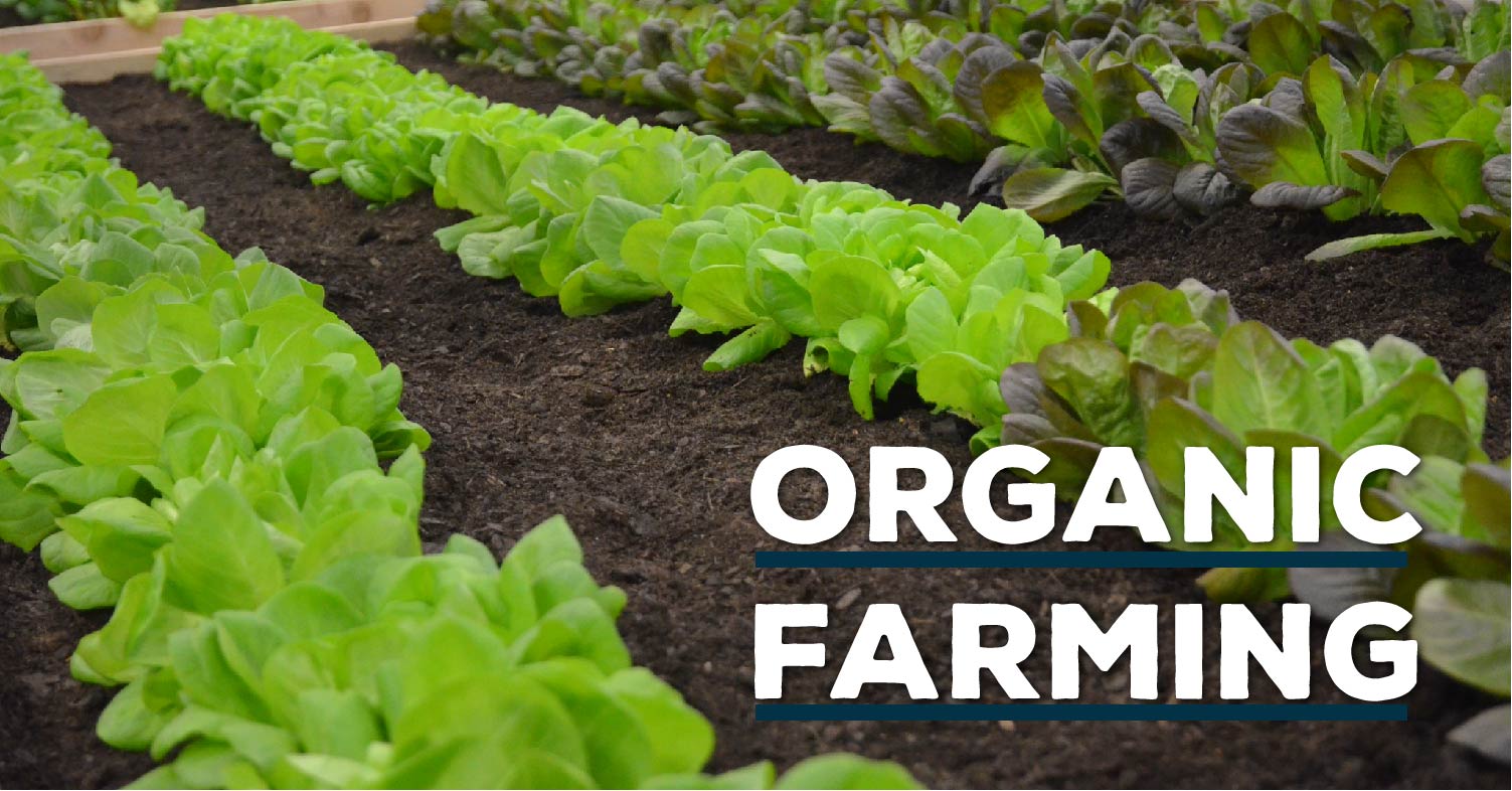 AgExplorer Organic Farming Header.jpg