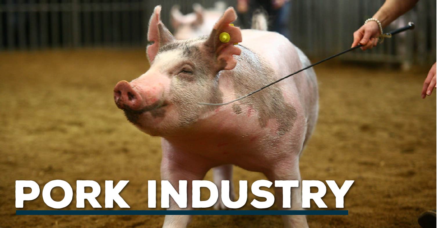 AgExplorer Pork Industry Header.jpg